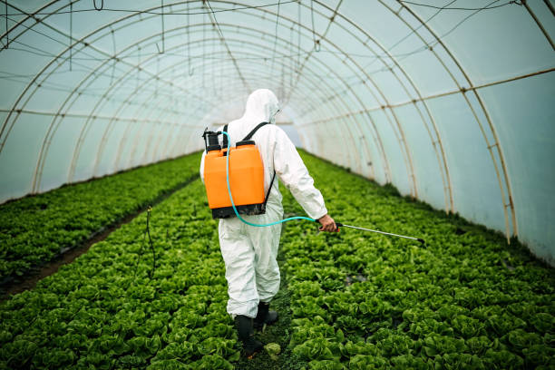 Best Affordable Exterminators  in Landover, MD
