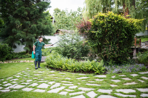 Best Pest Inspection Near Me  in Landover, MD