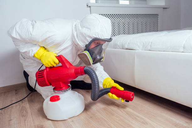 Best Local Pest Control Services  in Landover, MD