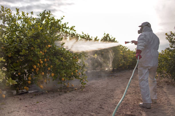 Best Cockroach Control Services  in Landover, MD