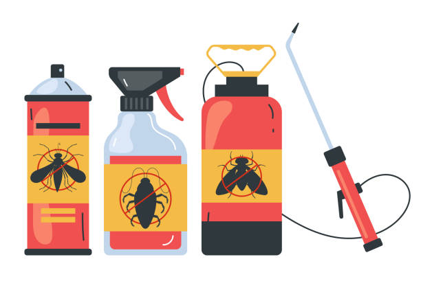 Trusted Landover, MD Pest Control Experts